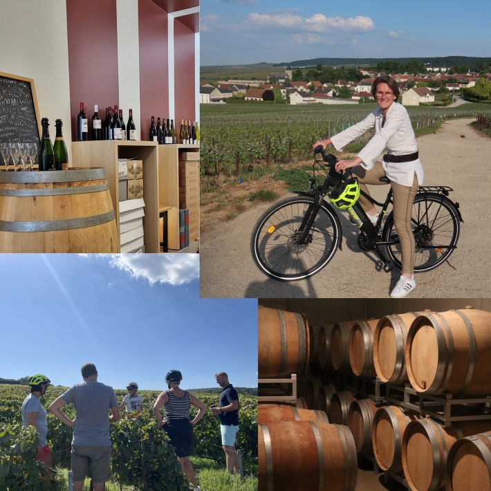 Oenotourisme, location de vélo et visite de cave